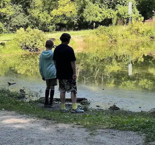 Students on a nature walk by a pond