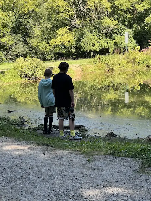 Students on a nature walk by a pond